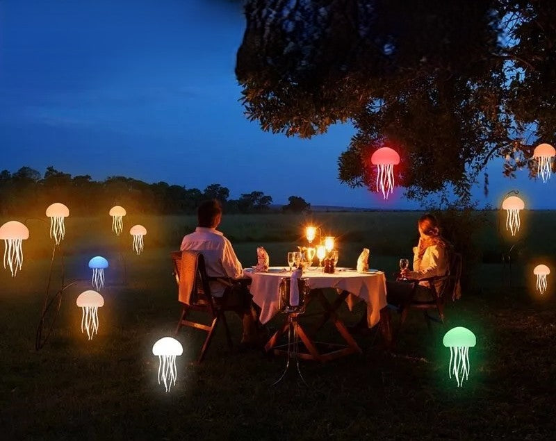 Jellyfish Atmosphere Light